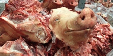 Kako rezati svinjsku glavu: upute korak po korak